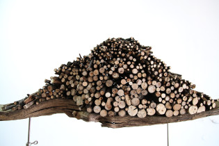 Closer (Format),  zbliżenie